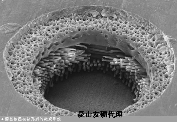 盐城蔡司盐城扫描电镜